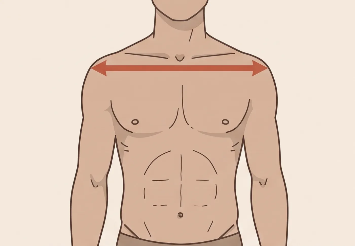 Illustration of a man's upper back with a measurement indicator across the widest point between the shoulders